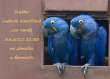 ozn�men�